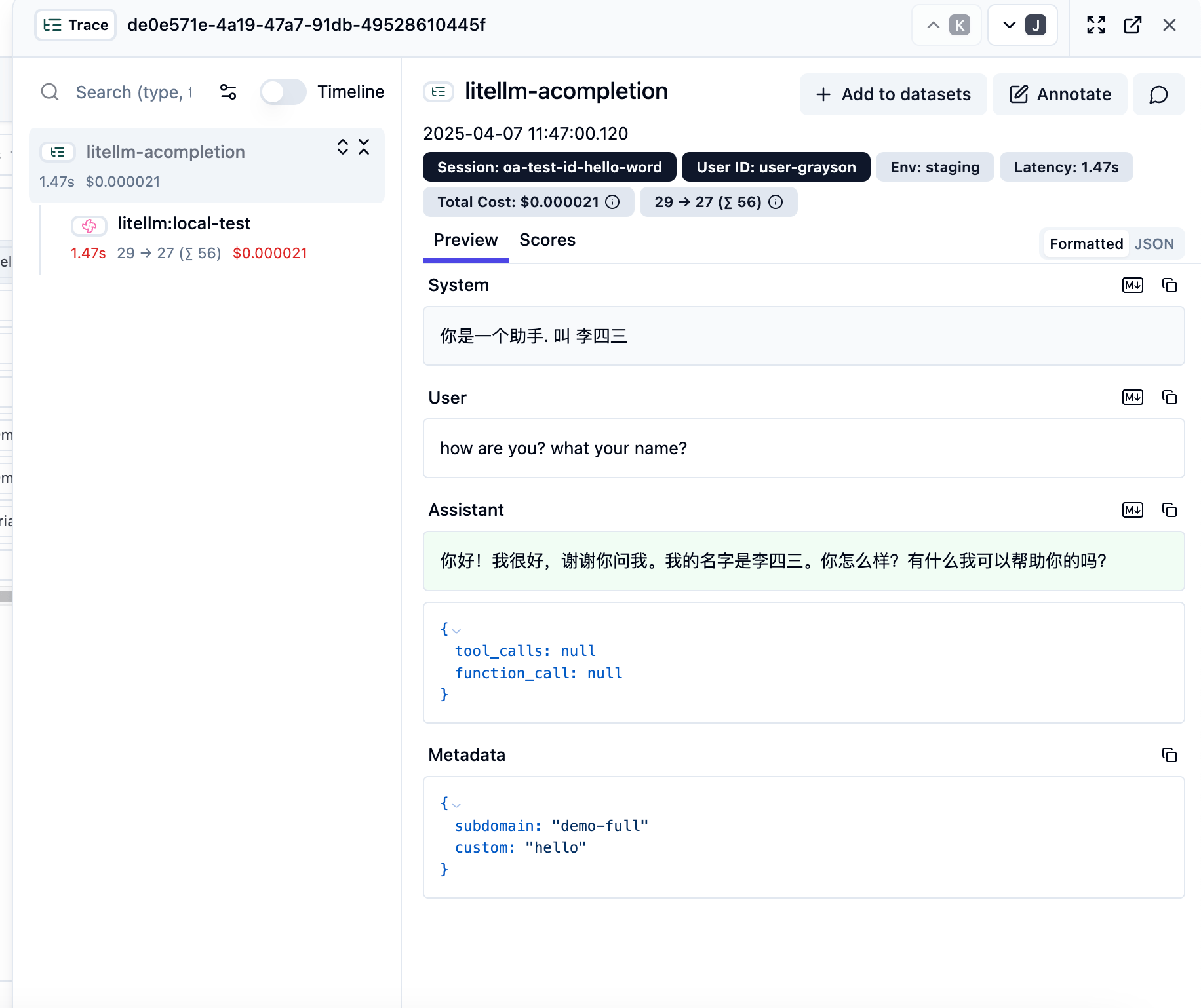 Langfuse Session Details